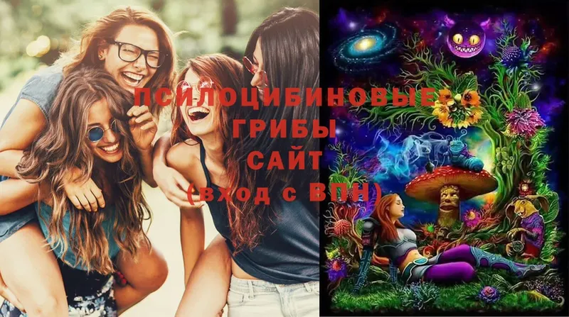 купить закладку  это Telegram  Галлюциногенные грибы Cubensis  Бавлы  omg tor 